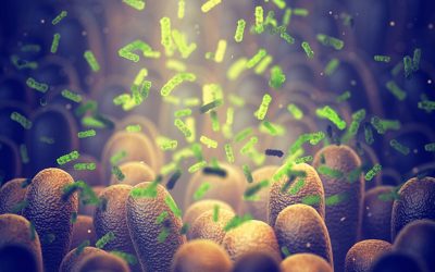 O Microbioma de microseres vivos da pele