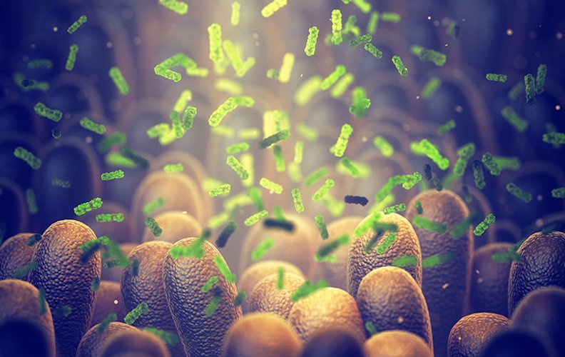 O Microbioma de microseres vivos da pele