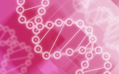 Nanotecnologia do Ácido Ferúlico